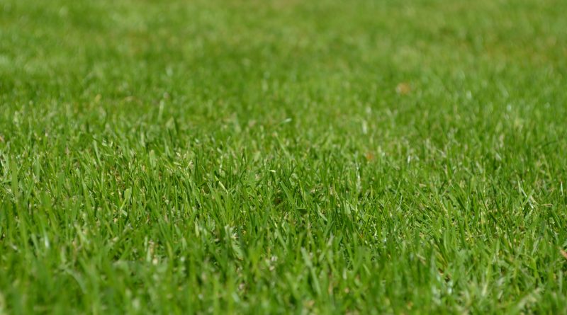 Graszodenkopen.nl